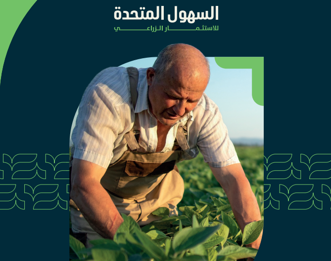 شركة السهول المتحدة